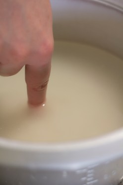 Amount of Water To Add to Rice