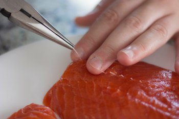 deboning a salmon filet