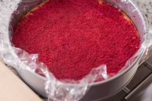 first layer of puree