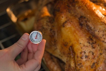 turkey thermometer
