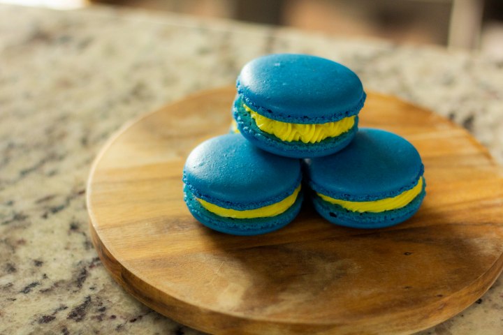 Boston Uprising Macarons
